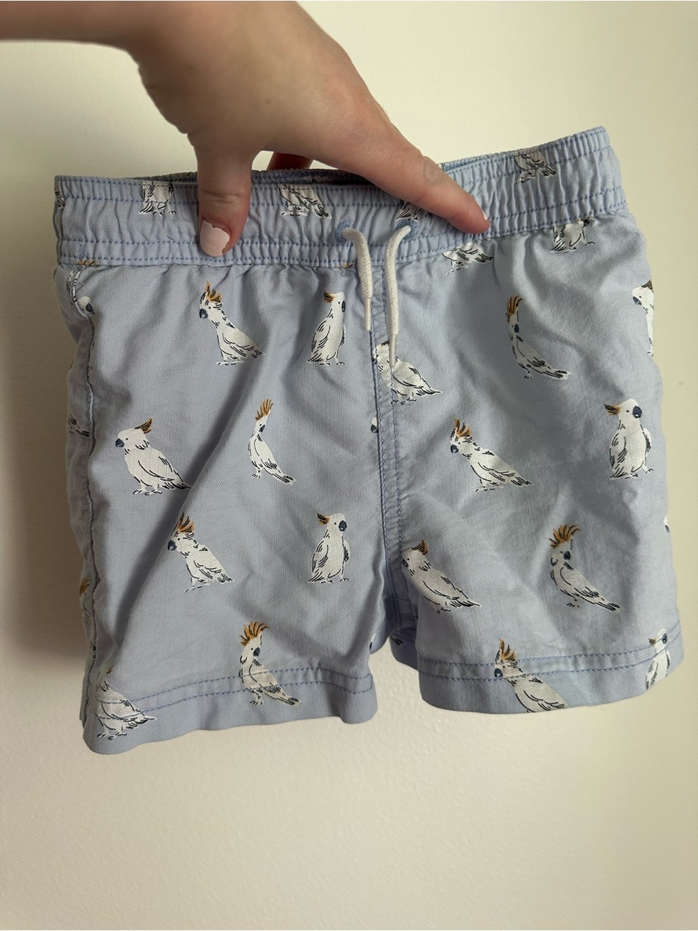Baby Janie and Jack Cockatoo Print Swim Trunks